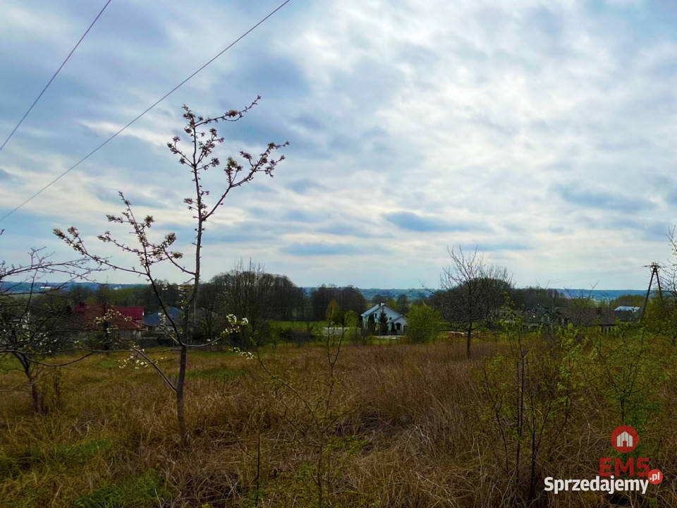 Działka Nowe Aleksandrowo 13000m2 asfalt