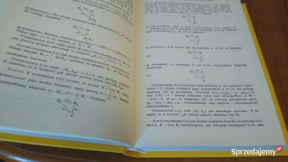 Wstęp do algebry homologicznej Stanisław Gdańsk