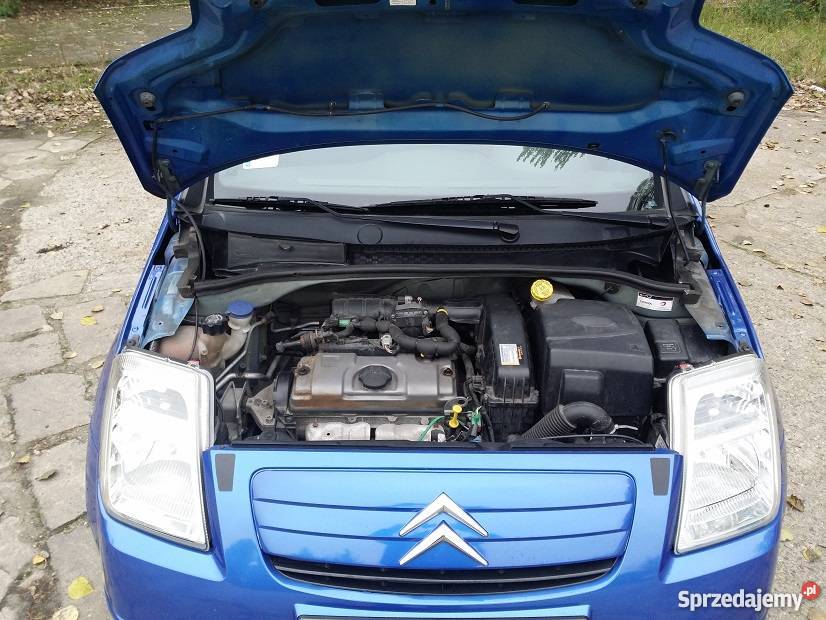 Citron C2 2007 Klimatyzacja Benzyna 2/3 C2 Marcinkowice