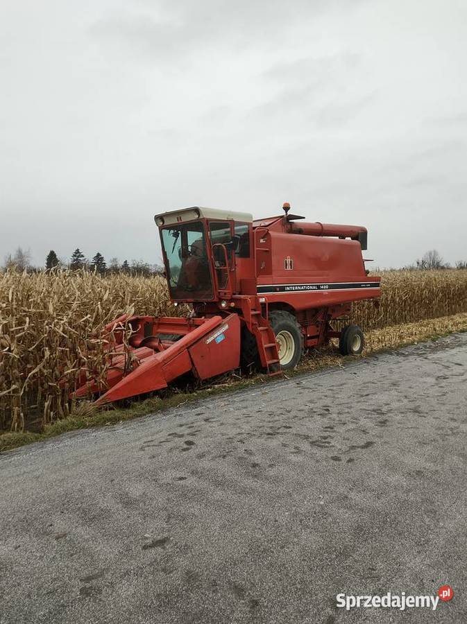 Geringhoff przystawka heder do kukurydzy Claas Bodzanów