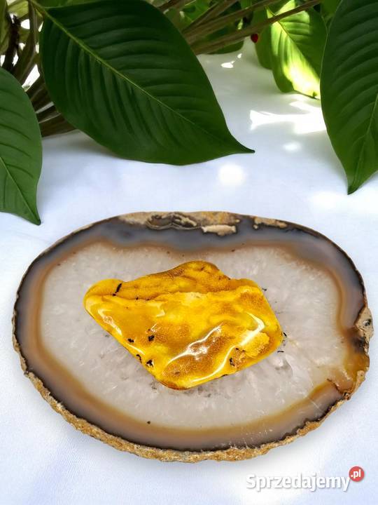 Broszka z bursztynu bursztyn bryłka 1496 Warszawa