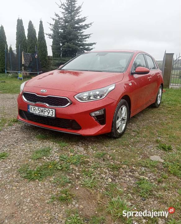 Kia Ceed 2019 Salon Polska 1 Właściciel małopolskie Racławice
