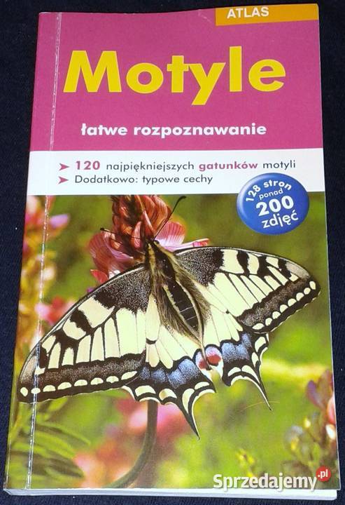 Motyle łatwe rozpoznawanie Atlas red Robert sprzedam