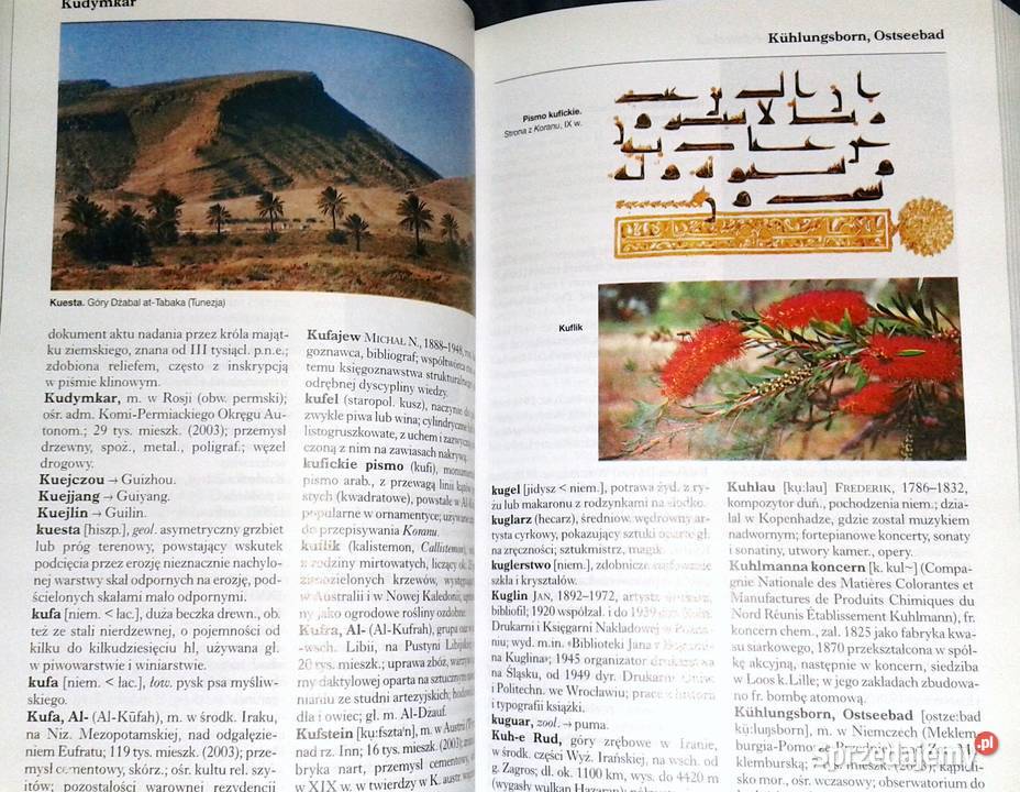 Encyklopedia Gazety Wyborczej 15 tomów sprzedam