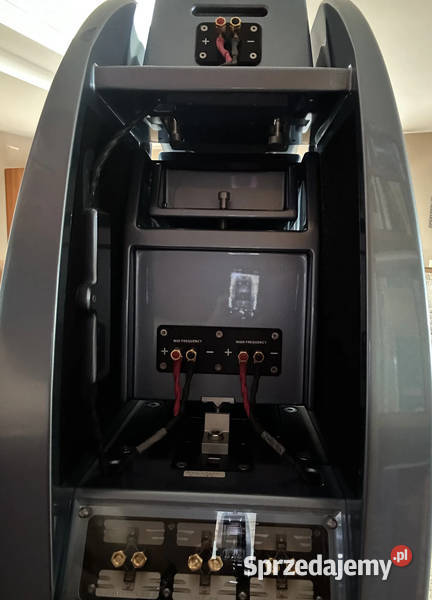 Wilson Audio Alexx Loudspeakers Porsche Ice Blue zestawy głośnikowe Małastów