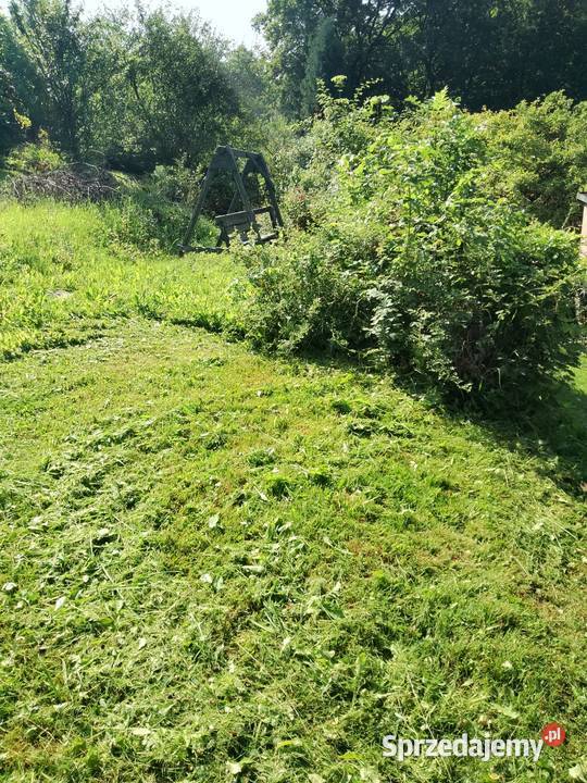 Działka ROD w Lipniku śląskie Bielsko-Biała