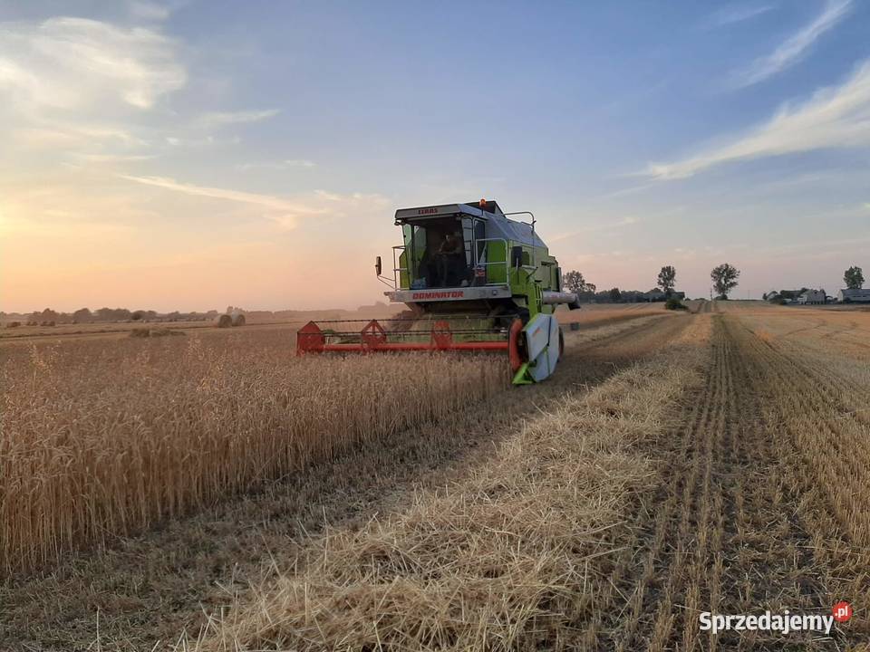 CLAAS DOMINATOR 108 SL kujawsko-pomorskie Żnin