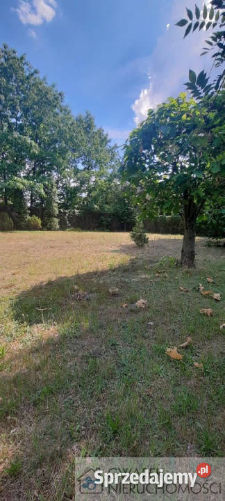 sprzedaży działki Dąbrowa Górnicza Spacerowa