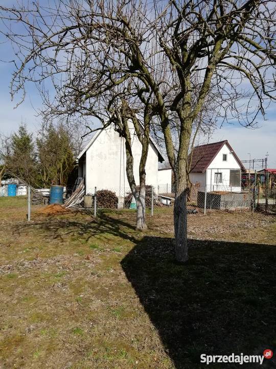 Sprzed ogródek działkowy Grunty i działki Jelcz-Laskowice