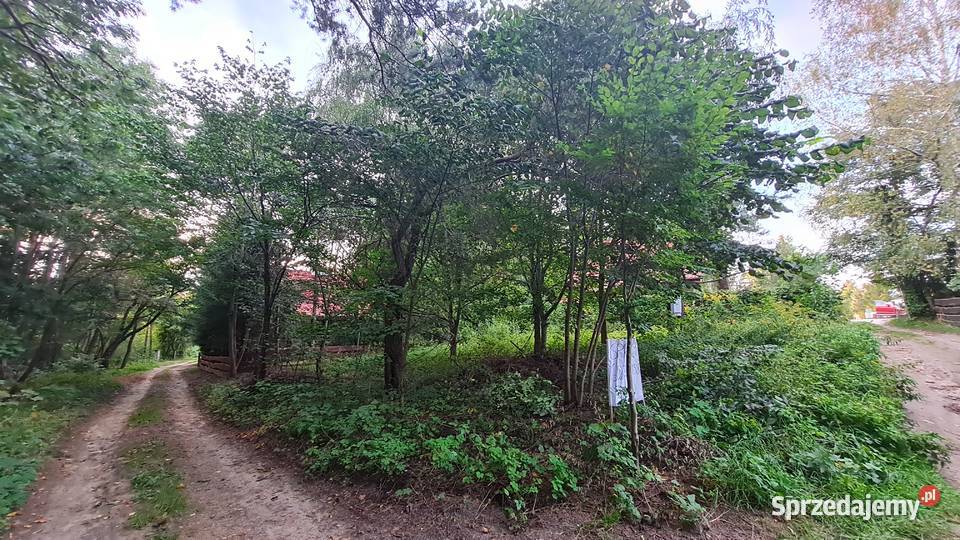 Działka 368 ara Mazury Grabowo 11700 Mrągowo Nieruchomości warmińsko-mazurskie sprzedam