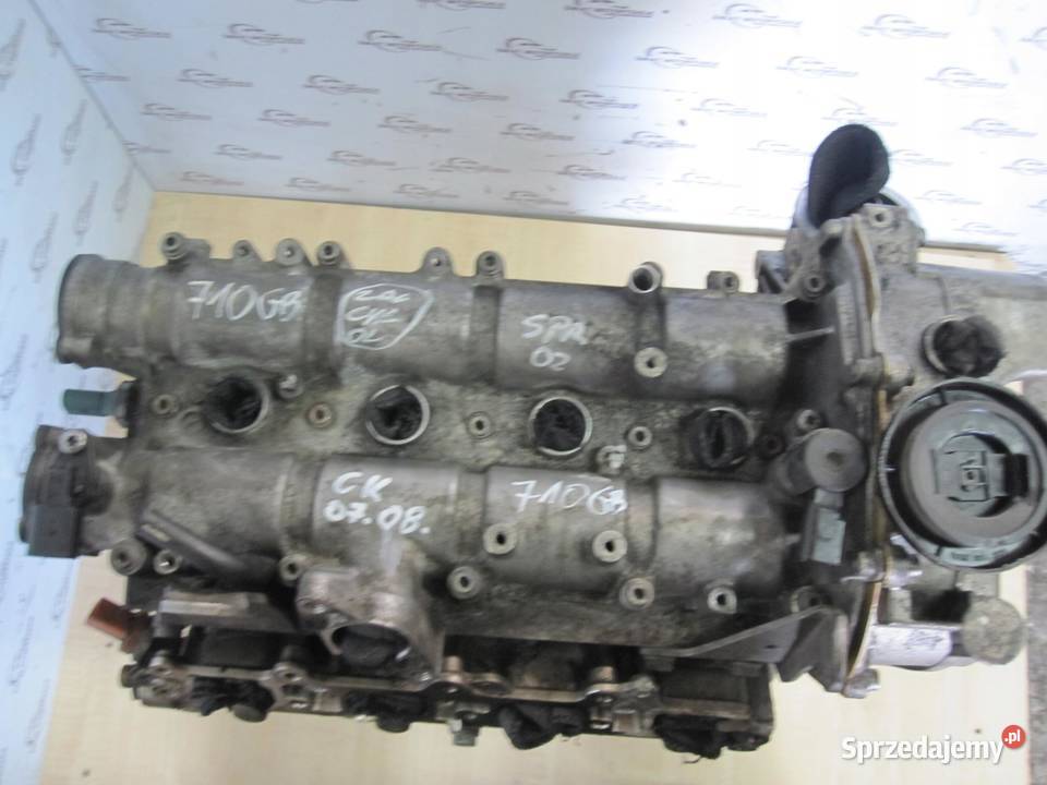 GOLF VI RAPID EOS A1 SCIROCCO 14 TSI CAX 122 świętokrzyskie