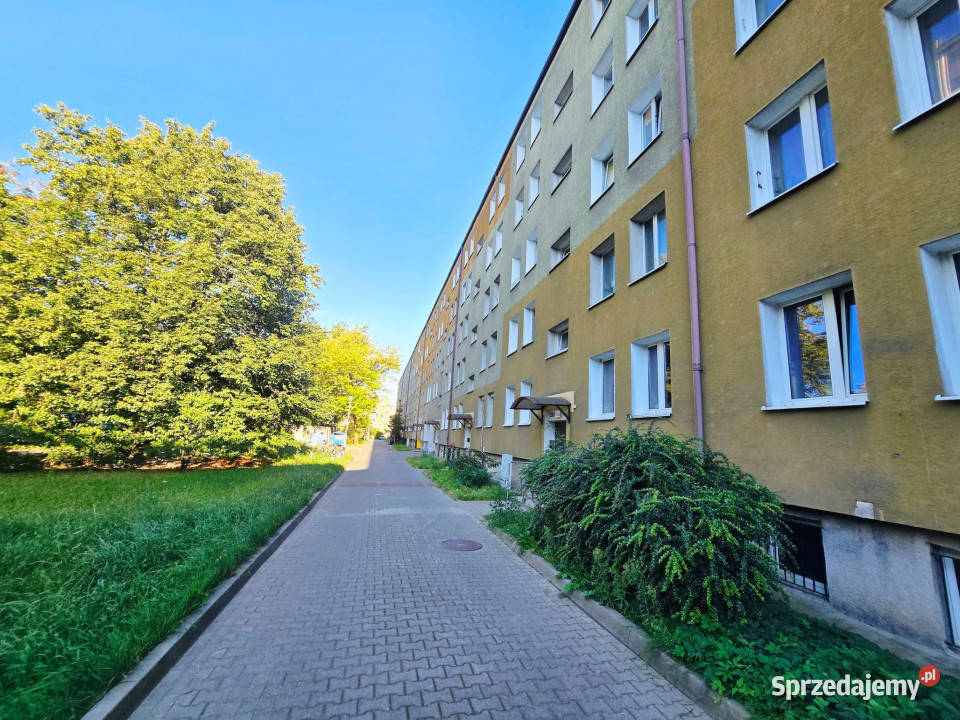 Na wynajem 3 pokoje osPrzyjaźni Poznań