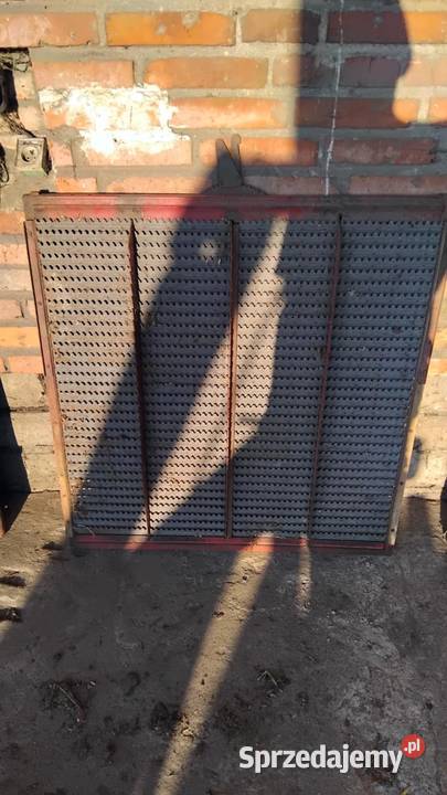 Śita Bizon z040 Leszno