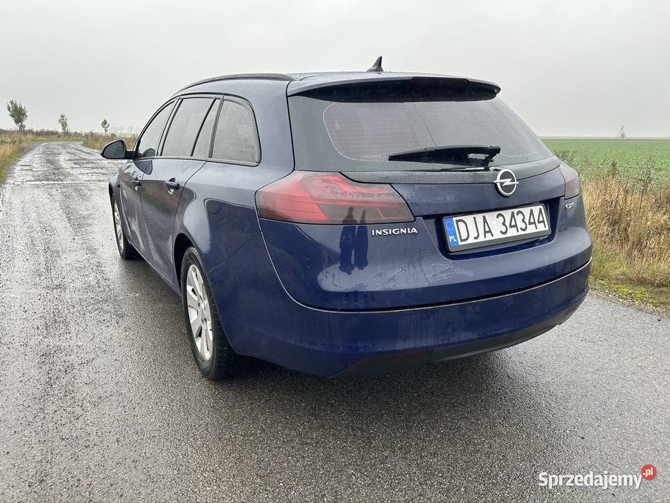 Opel Insignia 20 CDTI 2010r światła do jazdy dziennej Targoszyn
