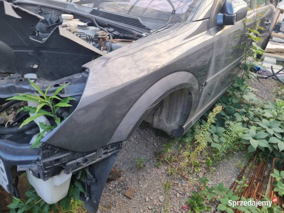 Opel Vectra C 19 CDTi 150 2005r Z168 Drzwi Skawina