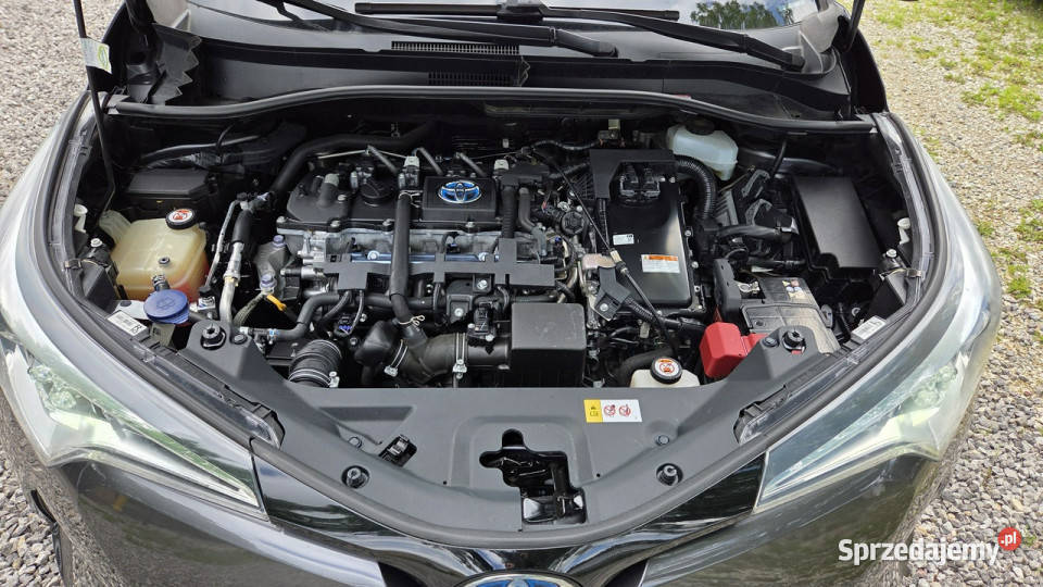 Toyota CHR 18 HSD Kamera Ast Pasa Distronic Otwock Mały
