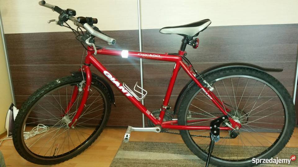 Rower Giant Chicago Sports 26