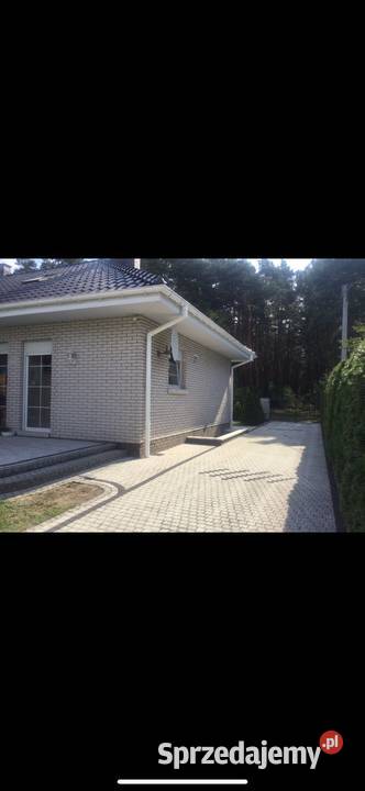 Dom parterowy lesie w Ostrzeszowie Ostrzeszów