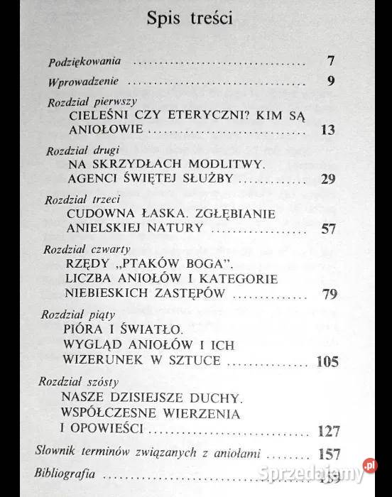 W poszukiwaniu aniołów David Connolly Chełm