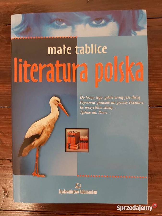 Małe Tablice Literatura Polska miękka