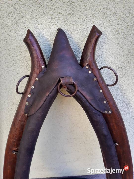 Zadbane chomąto krakowskie z podkładem świętokrzyskie Sułków