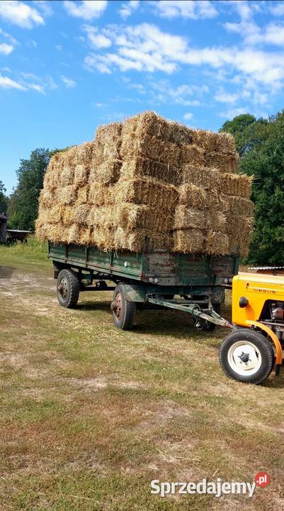 Przyczepa rolnicza Autosan D50 6 Ton nieuszkodzony Biłgoraj