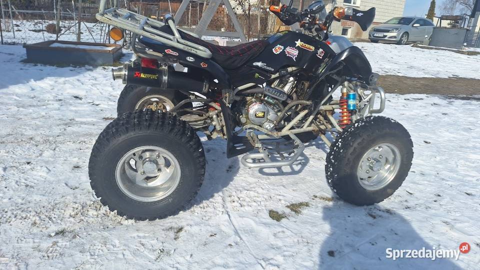 Quad 250 eagle bashan shineray nieuszkodzony lubelskie Rybitwy