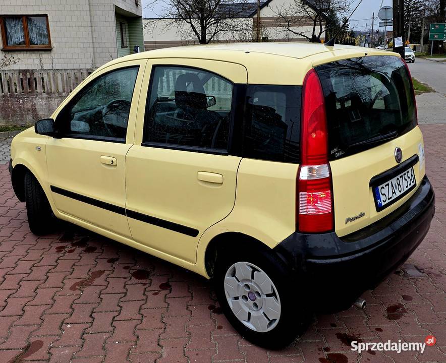 Panda 2009r 11 117 city