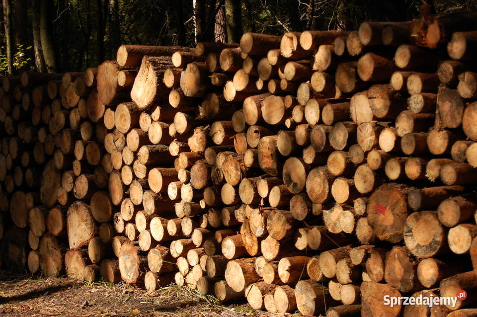 Cięcie rąbanie i układanie drewna opałowego Sapałówka