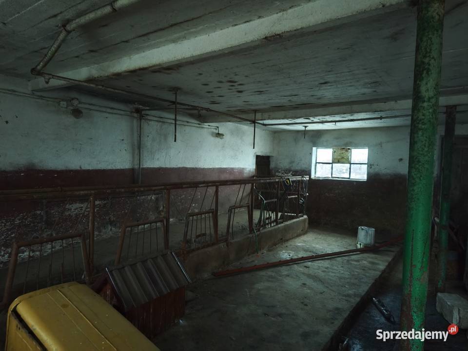 Sprzedam wynajmę budynki gospodarcze