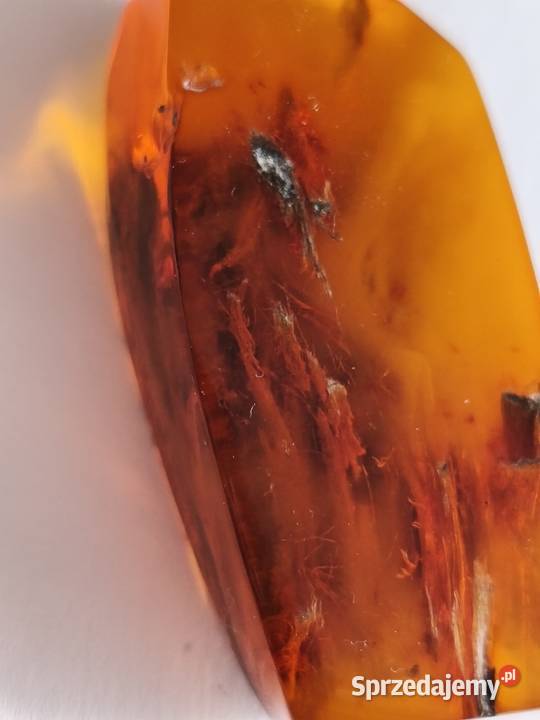 Bursztyn Inkluzja Roślinna Białystok