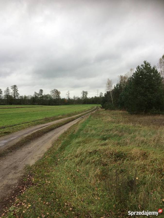 Działki I Siedlisko Jeziorem Zdworskim 3200m2 mazowieckie