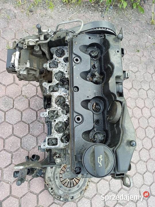 Silnik 16 TDi CAYC 105 2011 Gwarancja lubuskie Żary sprzedam