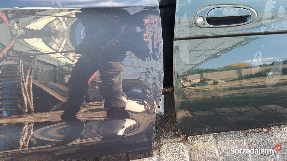 Ds4 citroen drzwi prawe Drzwi śląskie Częstochowa