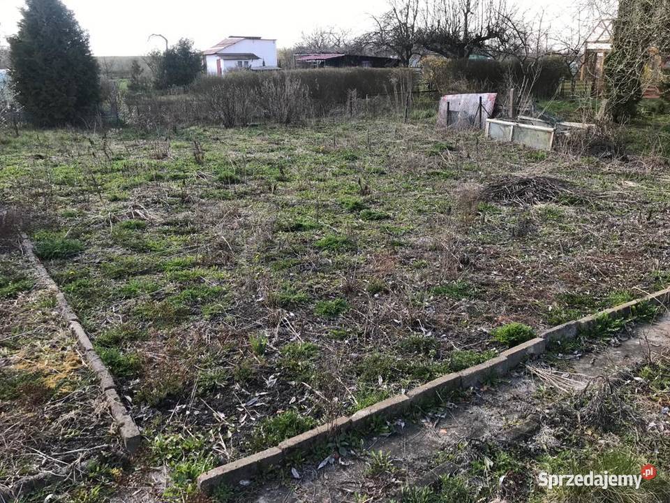 Działka ROD 695m RADUŃ zachodniopomorskie Wałcz