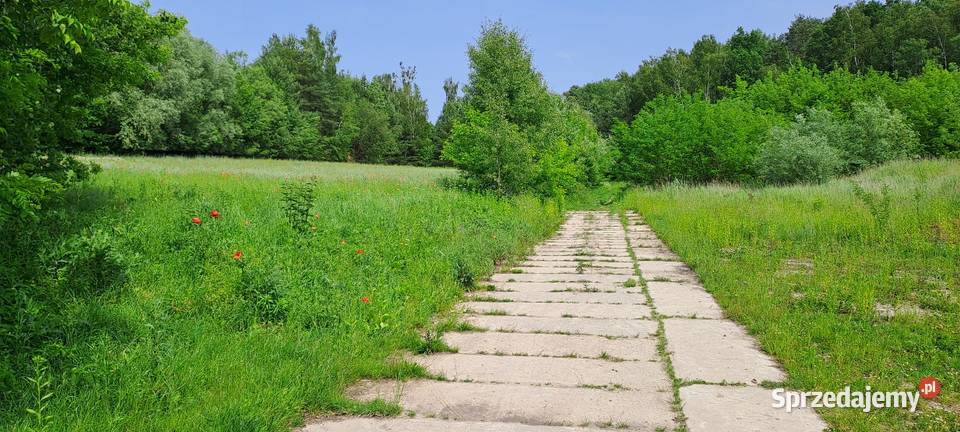 Działka 2x21arów Krasnystaw