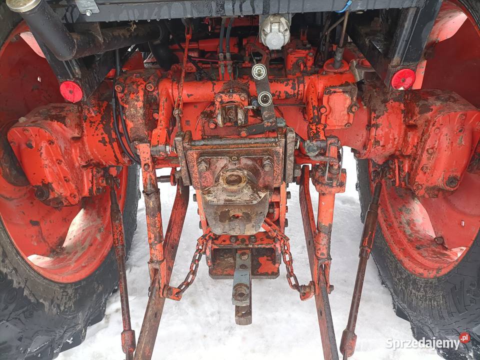 Case David Brown 1290 58 Krzczonów Trzeci