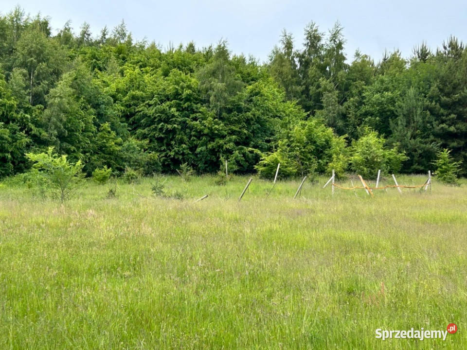 Działka 4500 m 7 morza WZ rozpoczęta budowa prąd