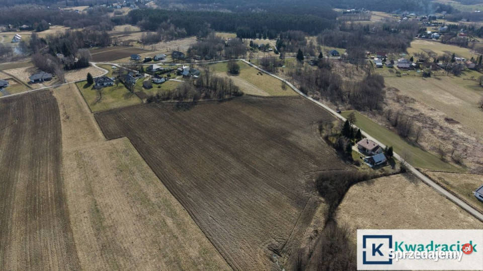 Grunt Ustrobna 6900m2 Sprzedaż sprzedam