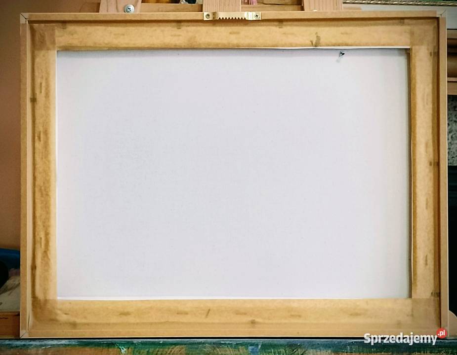 Maki na łące lubelskie Bychawka Trzecia