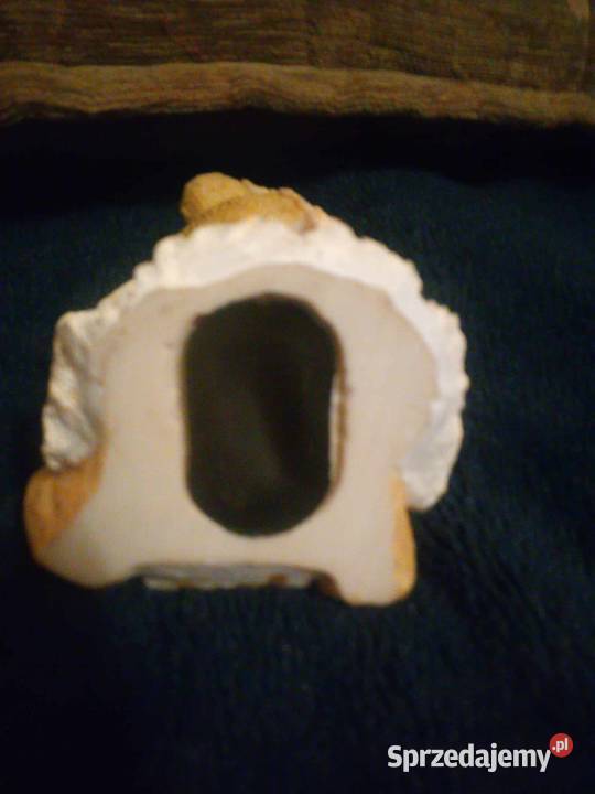 Miś dziewczynka skarbonka Pozostałe sprzedam