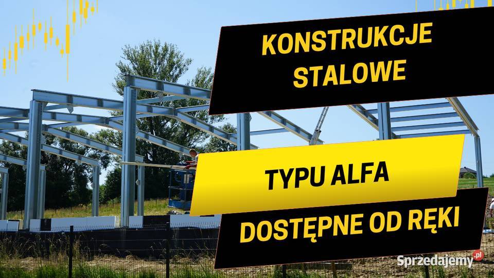Konstrukcja stalowa 14x30x5 projekt w odbiór w 7 Puszczykowo sprzedam