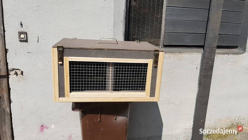 Transporter wielkopolskie Czerniejewo