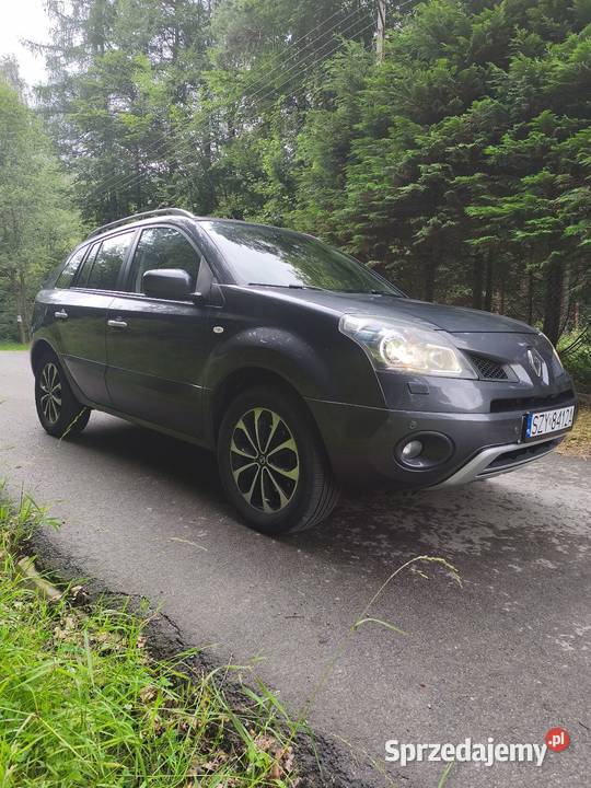 Renault koleos 25 benzynanissan xtrial T31 podgrzewane fotele Międzybrodzie Bialskie sprzedam