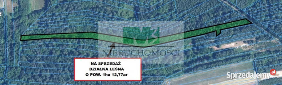 DO SPRZEDAŻY DZIAŁKA LEŚNA W JELNEJ Jelna