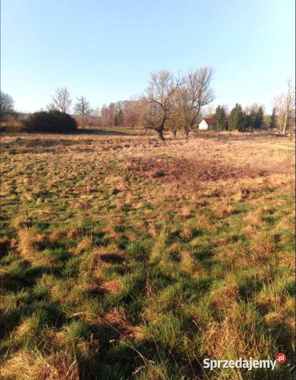 Działka z linią brzegową 130 m Brzeźnica sprzedam