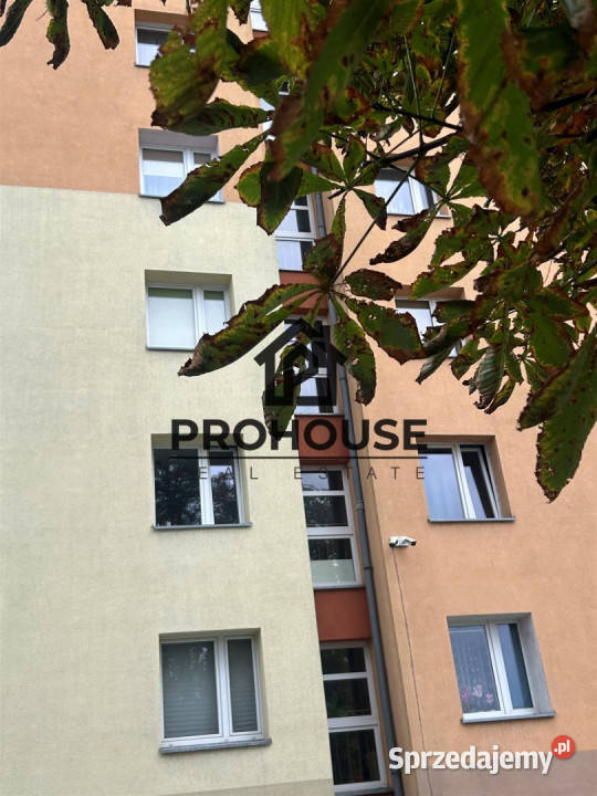 Do wynajęcia mieszkanie Bydgoszcz 479m2 3 pokoje
