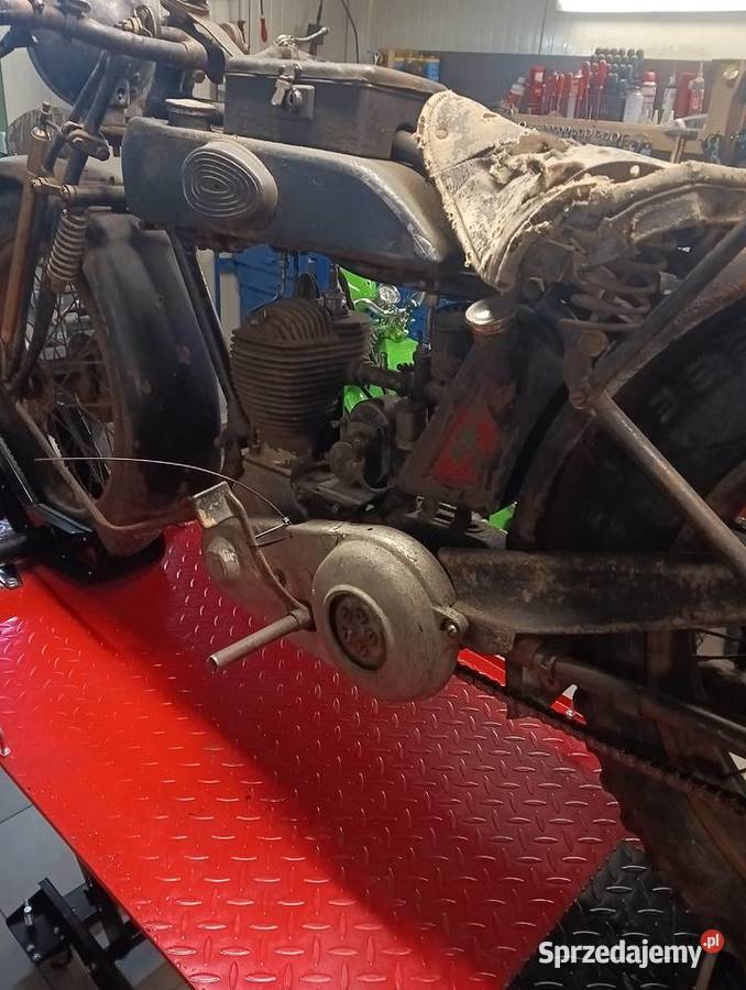 Sprzedam terrot h Pozostałe