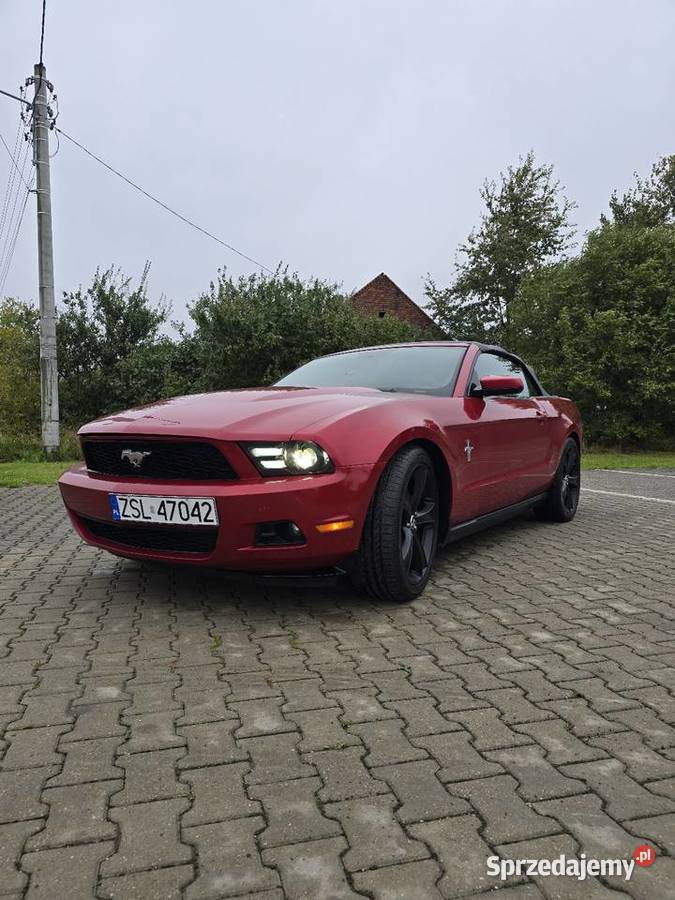 Sprzedam Ford Mustang V 36 v6 lpg immobilizer Piotrków Trybunalski sprzedam