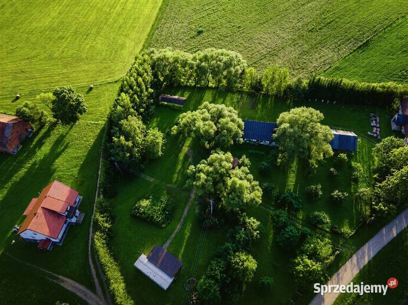 Działka Działka na Mazurach z warunkami zabudowy Gąsiorowo